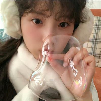 欢迎来到丛林